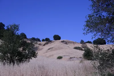 DSC_2012 (Large).JPG